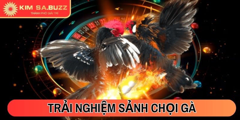 Kimsa xp2itfc 🎖️【Kim sa】- Link Dẫn Vào Nhà Cái Kimsa.com 26 Trải nghiệm sảnh Chọi Gà